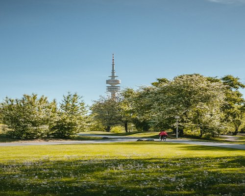 Smiling elderly couple walking in a green park in Germany