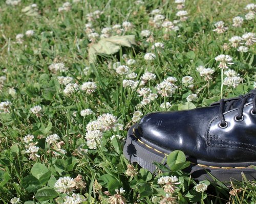 Comfortable walking shoes on grass